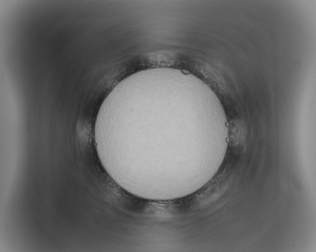 X0000112400713200909041336