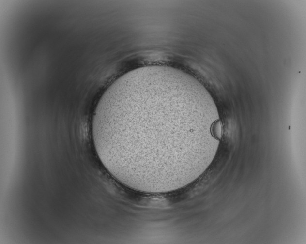 X0000112400715200909041336