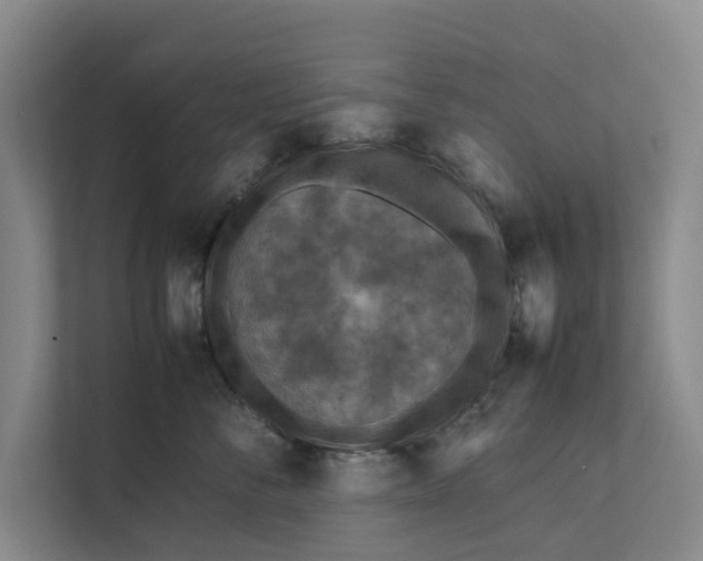 X0000112400716200909041336