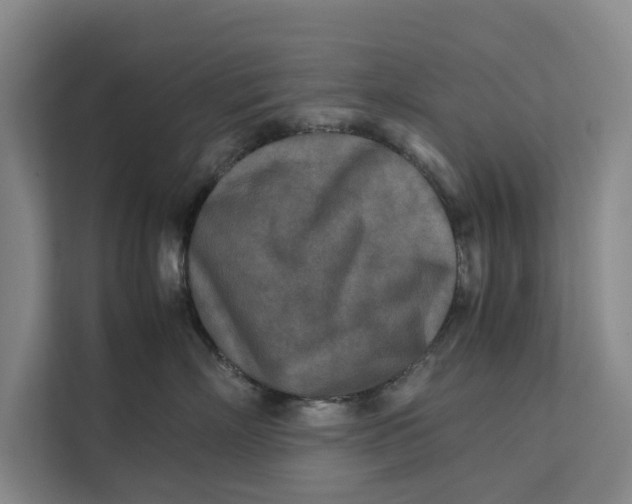X0000112400718200909041336