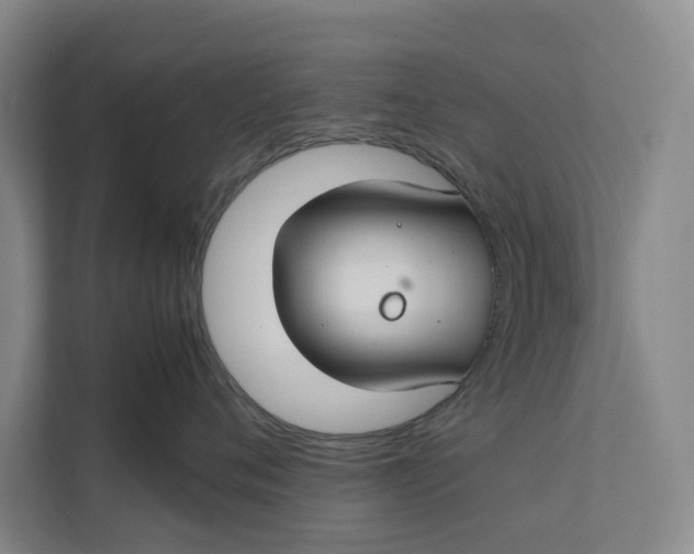 X0000112400720200909041336