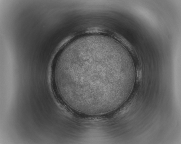 X0000112400724200909041335