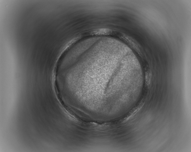X0000112400725200909041335