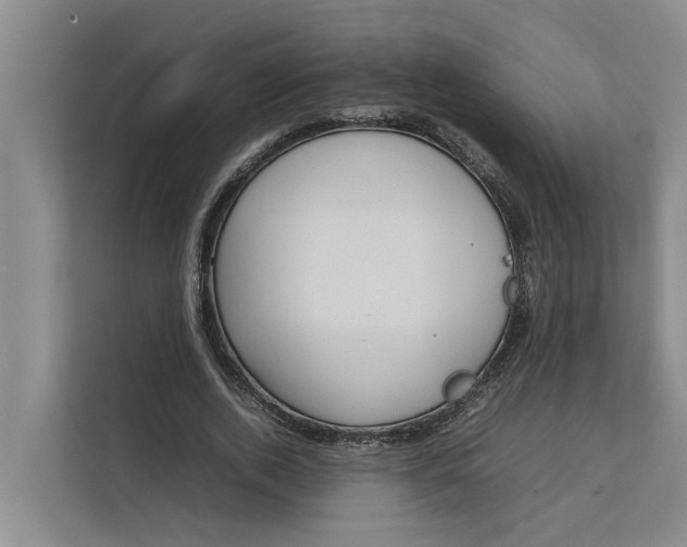 X0000112400728200909041335