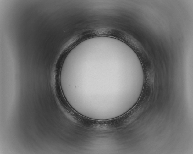 X0000112400730200909041335