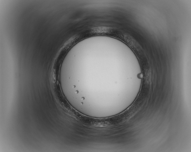 X0000112400731200909041335