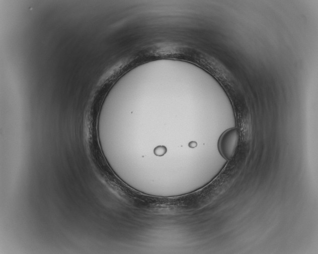 X0000112400732200909041335