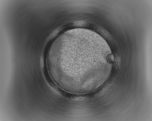 X0000112400734200909041335