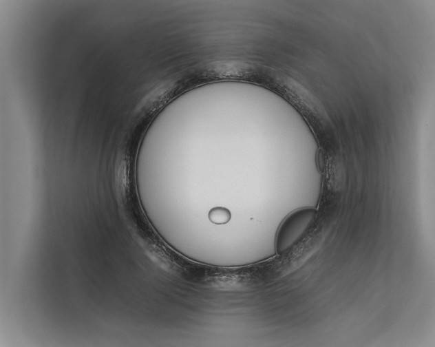 X0000112400740200909041336