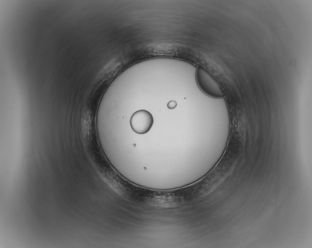 X0000112400744200909041336