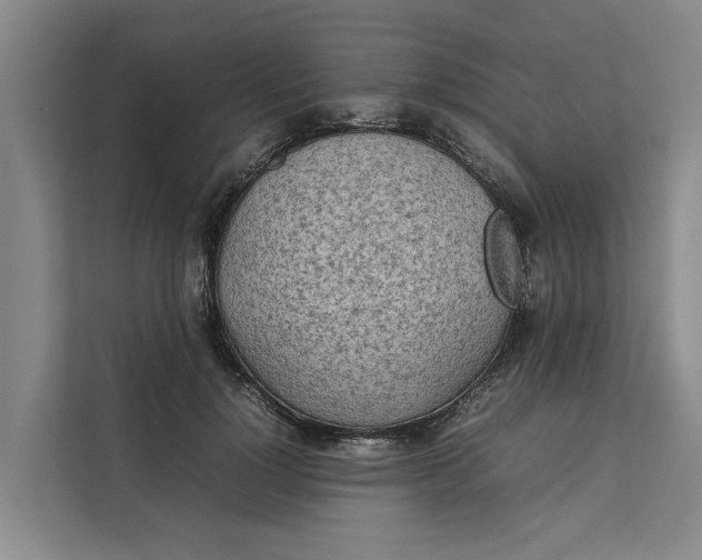 X0000112400748200909041336