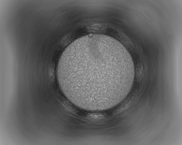 X0000112400749200909041336