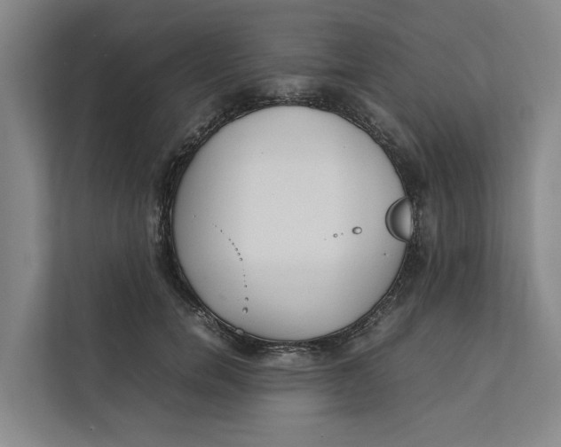 X0000112400750200909041336
