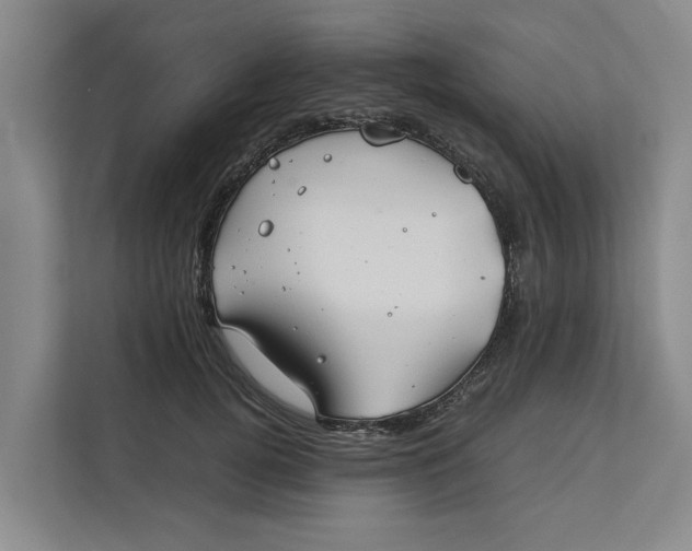 X0000112400752200909041336