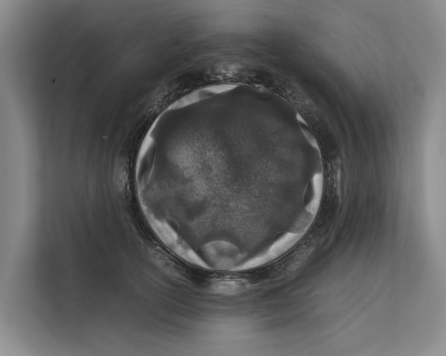 X0000112400754200909041336