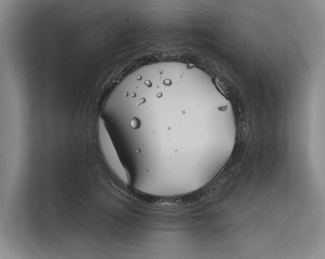 X0000112400756200909041336