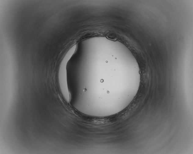 X0000112400757200909041336