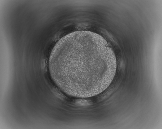 X0000112400759200909041336