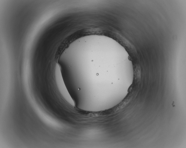 X0000112400764200909041336