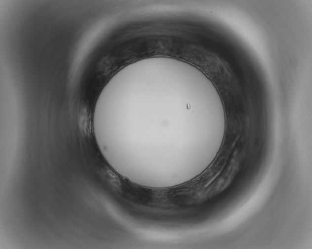 X0000112400766200909041336