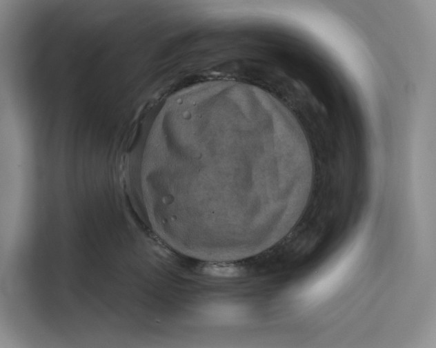 X0000112400767200909041336