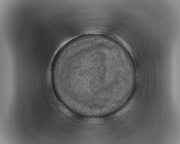 X0000112400779200909041335