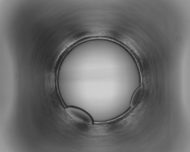 X0000112400781200909041335