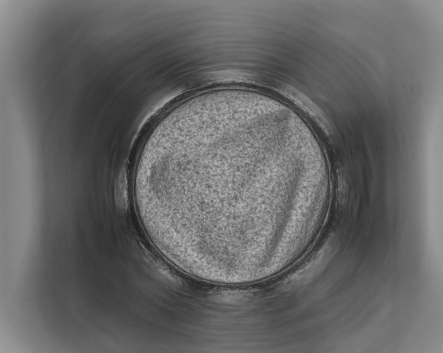 X0000112400782200909041335