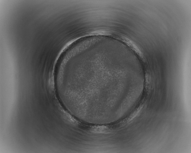 X0000112400784200909041335