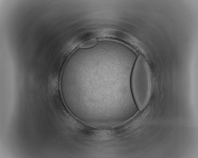 X0000112400785200909041335