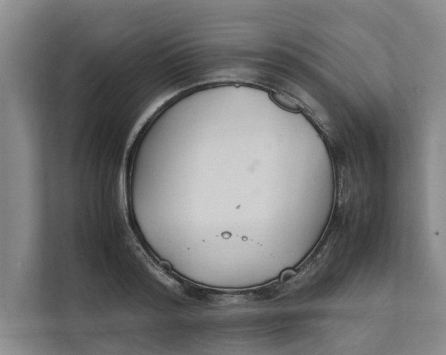 X0000112400796200909041335