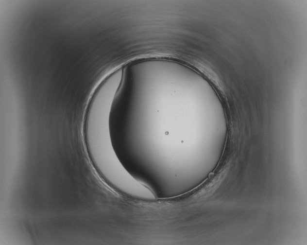 X0000112400797200909041335