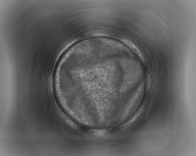 X0000112400798200909041335