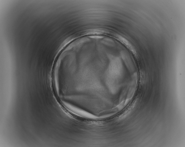 X0000112400802200909041335