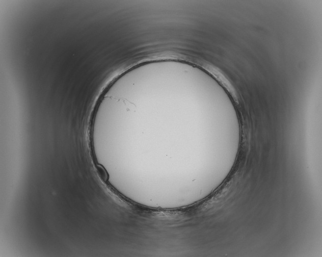 X0000112400805200909041335