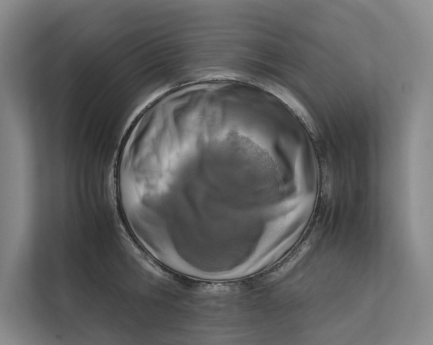 X0000112400806200909041335