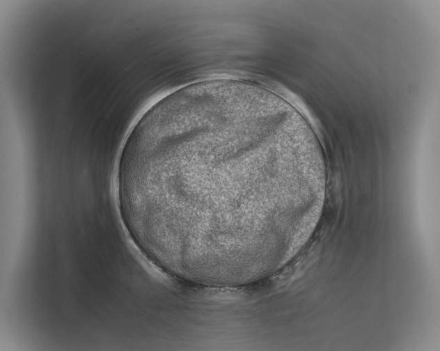 X0000112400811200909041335