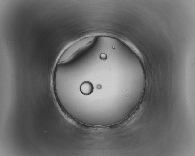 X0000112400813200909041335
