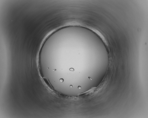 X0000112400815200909041335