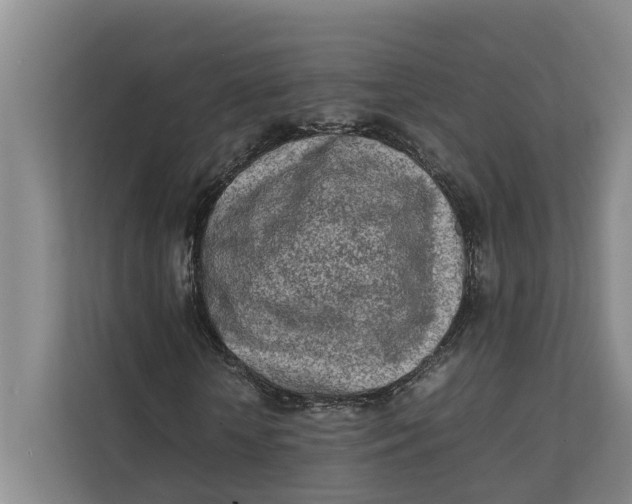 X0000112400818200909041334