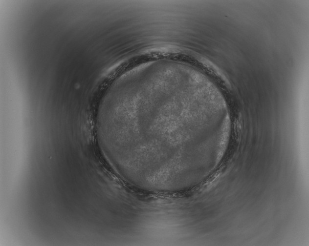 X0000112400822200909041334