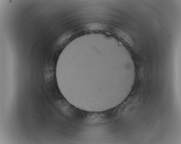 X0000112400824200909041334
