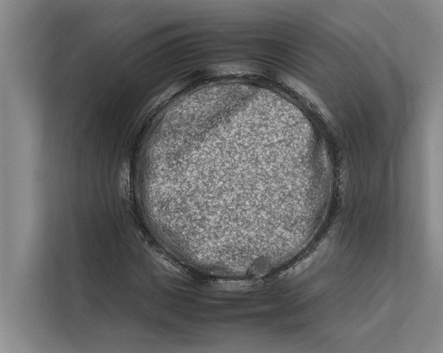 X0000112400825200909041334