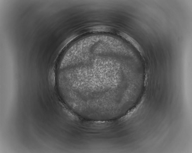 X0000112400829200909041334