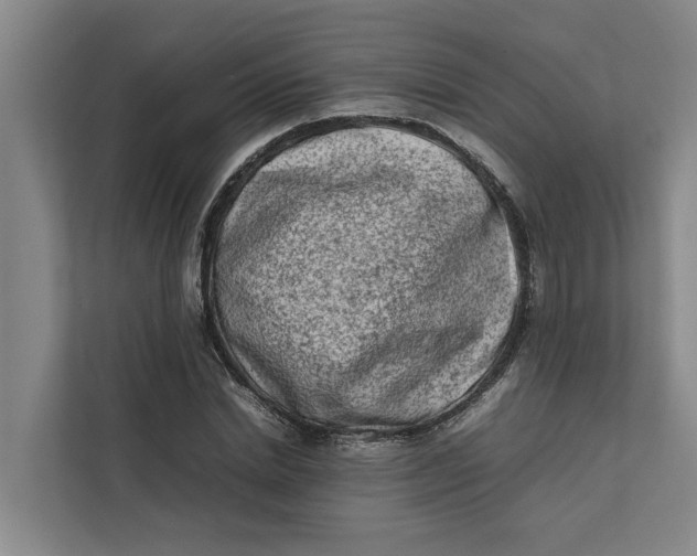 X0000112400830200909041334
