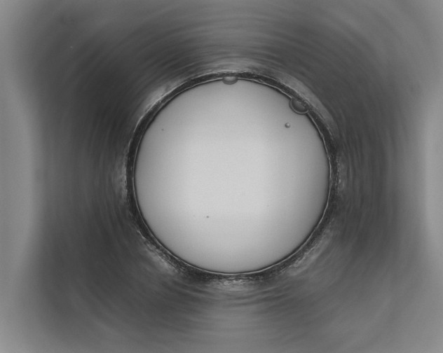 X0000112400834200909041334