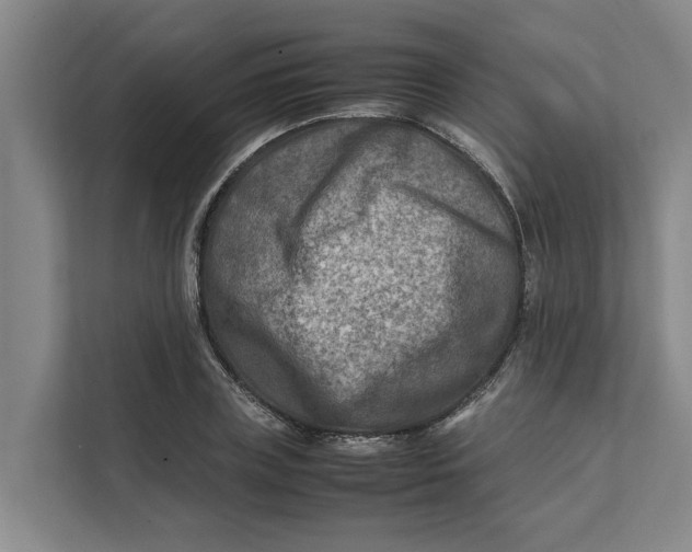 X0000112400835200909041334