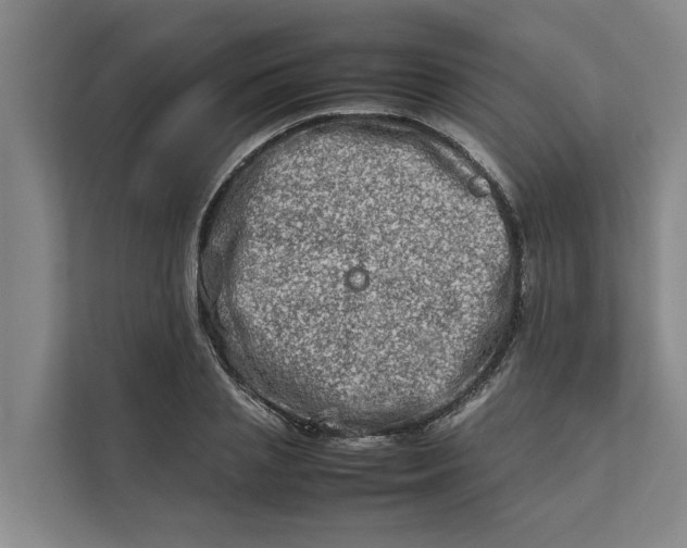 X0000112400837200909041334