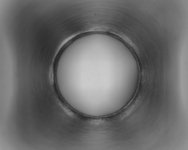 X0000112400838200909041334