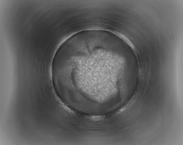 X0000112400839200909041334